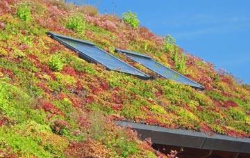 Llecheiddior living roof systems